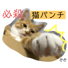 [LINEスタンプ] Dep 里親様スタンプ おもしろver