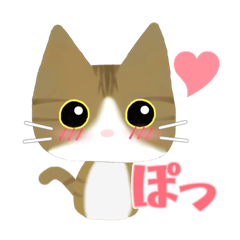 [LINEスタンプ] きじ白猫のスタンプ