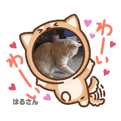 [LINEスタンプ] お休みなさいよ