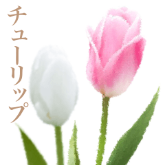 [LINEスタンプ] チューリップです 淡色女子