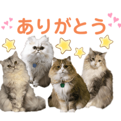 [LINEスタンプ] ♡福♡暖♡紗♡希♡