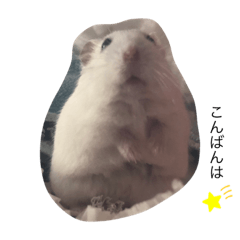 [LINEスタンプ] あずちゃんの日常②