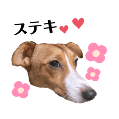 [LINEスタンプ] わたしてる1歳
