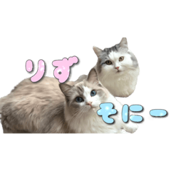 [LINEスタンプ] りずとそにー。