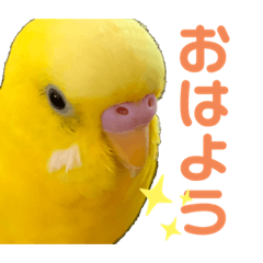 [LINEスタンプ] たまとなかまたち