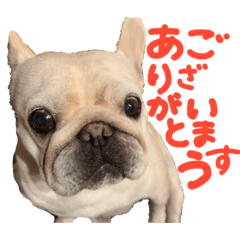 [LINEスタンプ] フレブルの大吉くん (使いやすい敬語)