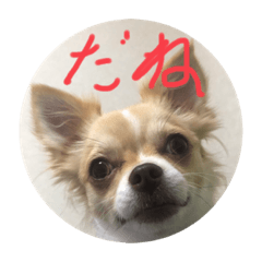 [LINEスタンプ] はるちゃん その十