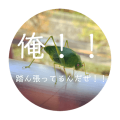 [LINEスタンプ] 聞いてくれ！俺の主張！