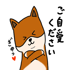 [LINEスタンプ] 雑種犬タケちゃん