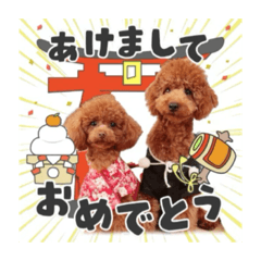 [LINEスタンプ] 【イベントver】トイプードルのプルミエ