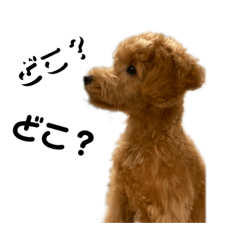 [LINEスタンプ] ROBのひとりごと