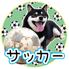 [LINEスタンプ] 黒柴犬の♡サッカー応援♡スタンプ02