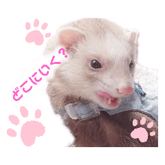 [LINEスタンプ] ここね日和