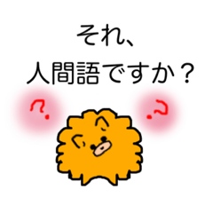 [LINEスタンプ] ポメラニアンの毎日使える日常会話