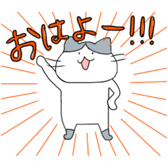 [LINEスタンプ] ねこ、いろいろ  (使いやすい編)