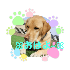 [LINEスタンプ] 黄色いお方2