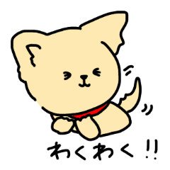 [LINEスタンプ] 丸っこいチワワくん