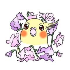 [LINEスタンプ] インコとお花のカラフル♪スタンプ