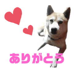 [LINEスタンプ] ゆっしースタンプ