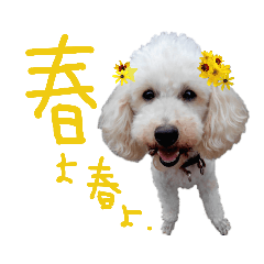 [LINEスタンプ] 後ろ向きがちな犬を中心に！