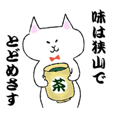 [LINEスタンプ] funnyCatワイルドキャットスタンプ