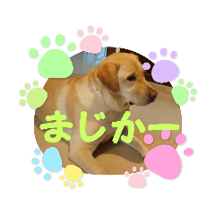 [LINEスタンプ] 黄色いお方3