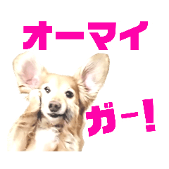 [LINEスタンプ] lovelyダックスフンド・アンの日常Part6