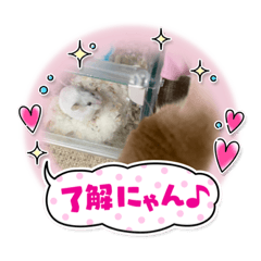 [LINEスタンプ] きなこともなか