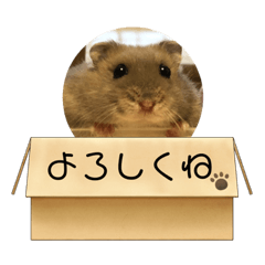 [LINEスタンプ] うちのハムスター ごはんさん