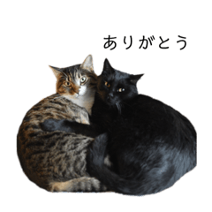 [LINEスタンプ] クーロン＆ブルース①