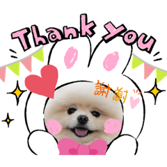 [LINEスタンプ] 飼い主によるしじみのスタンプ