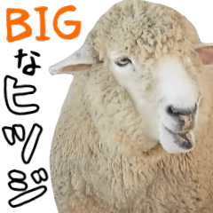 [LINEスタンプ] ほほえみフレンズ ヒツジのBIGスタンプの画像（メイン）