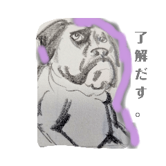 [LINEスタンプ] シュールな犬スタンプ