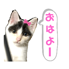 [LINEスタンプ] ルルの日常(時々セブン)