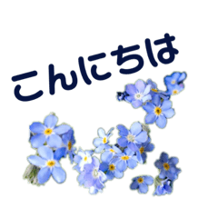 [LINEスタンプ] 大人の花すたんぷ！