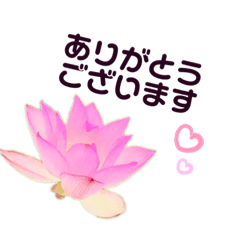 [LINEスタンプ] 大人の花すたんぷ 優しい言葉