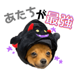 [LINEスタンプ] あせローラ