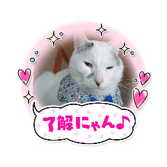 [LINEスタンプ] わが家のゴマ様