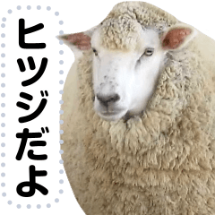 [LINEスタンプ] ほほえみフレンズ 羊のメッセージスタンプ