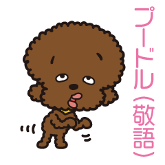 [LINEスタンプ] プードル(敬語)