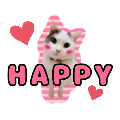 [LINEスタンプ] ごままる君の日常 ～大きめ文字～