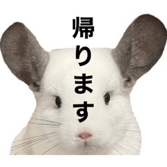 [LINEスタンプ] げっ歯類とイヌ