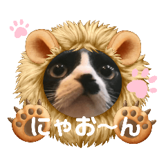 [LINEスタンプ] ミー介にゃおん