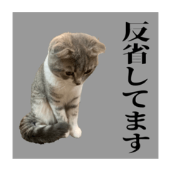 [LINEスタンプ] Glicoの日常スタンプ