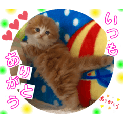 [LINEスタンプ] ねこまーち ふわふわベイビー