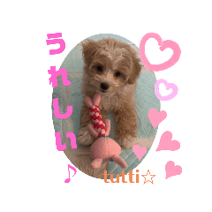 [LINEスタンプ] Cuteなトゥッティ