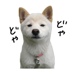 [LINEスタンプ] ルナスタンプ第7弾