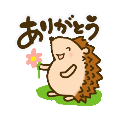 [LINEスタンプ] はりねずみSORAと仲間たち/日常会話ver.