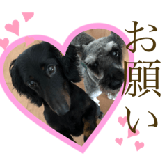[LINEスタンプ] リンドスペシャル