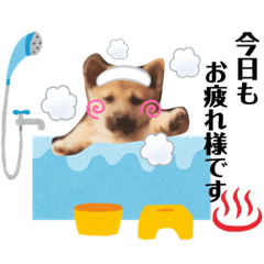 [LINEスタンプ] わたなべ家のさつきちゃん♡第2弾の画像（メイン）